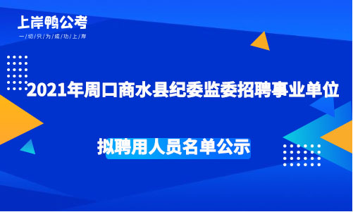 龙陵县纪委县监委2023年公开招聘城镇公益性岗位人员的公告
